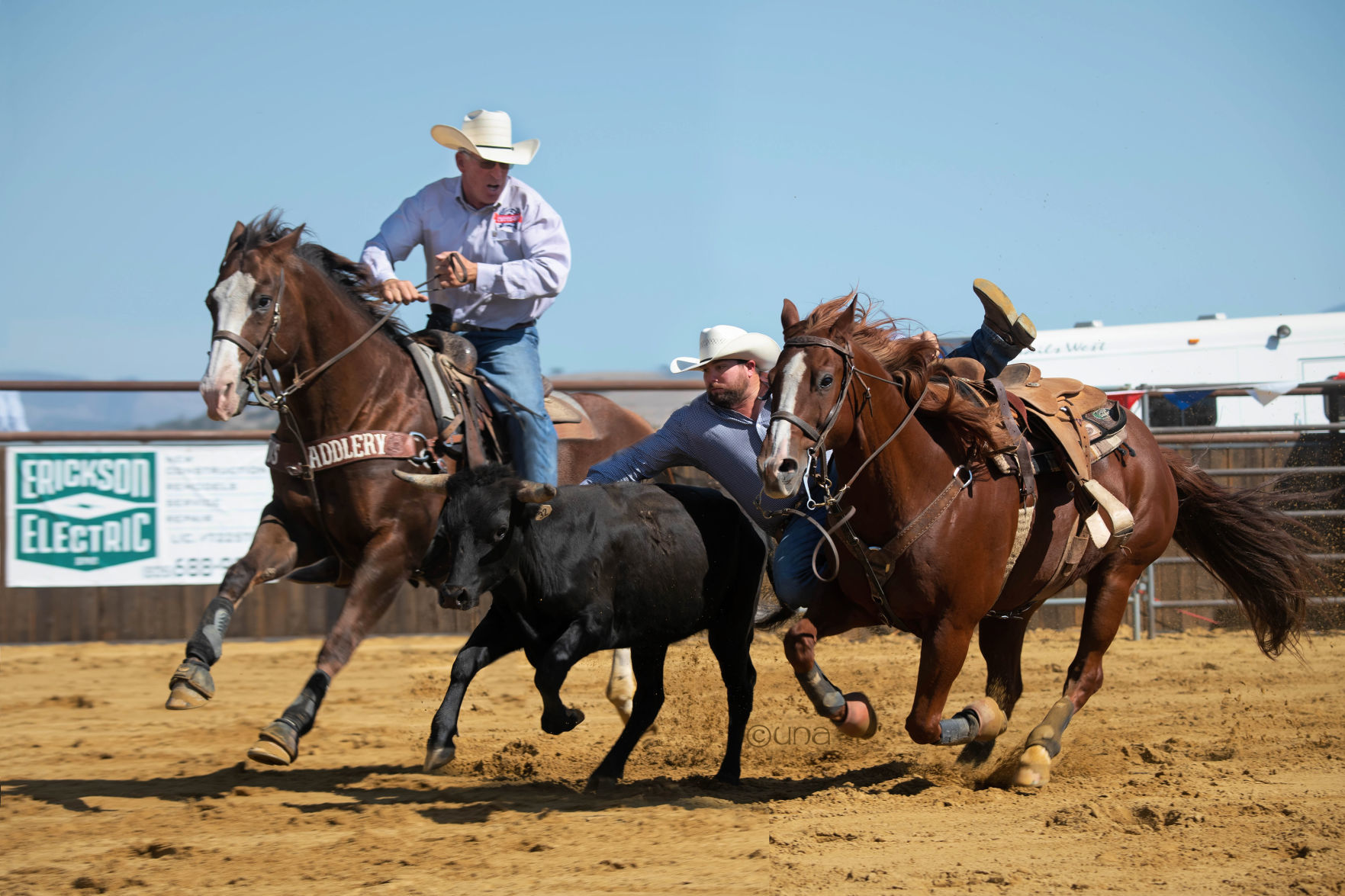 SYVWineCountryRodeo2019